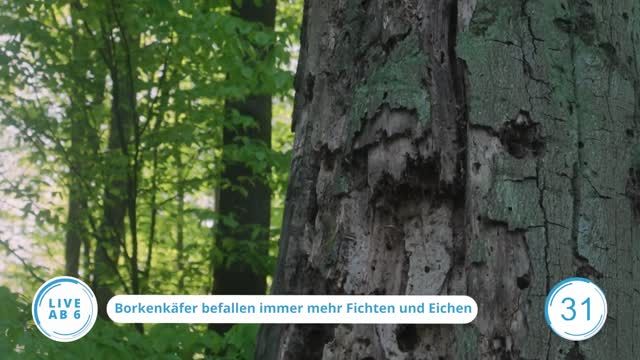 Die Top-Nachrichten des Tages | 16.05.2023