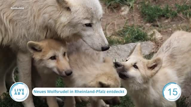 Die Top-Nachrichten des Tages | 19.05.2023