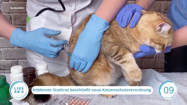 Die Top-Nachrichten des Tages | 12.05.2023