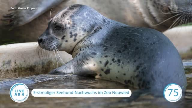 Die Top-Nachrichten des Tages | 22.06.2023