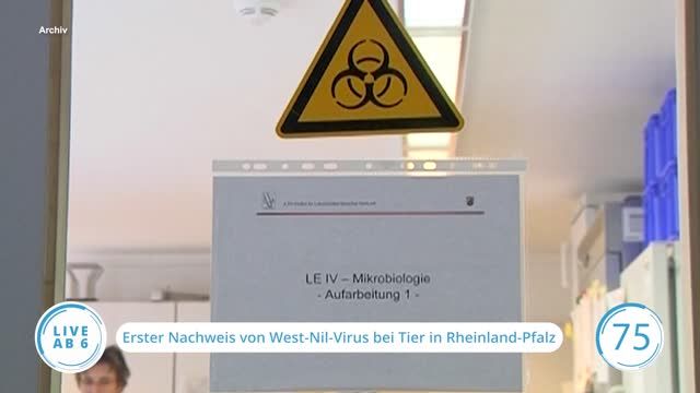 Die Top-Nachrichten des Tages | 14.09.2023