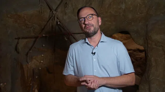 Museum Monrepos in Neuwied - Erlebe die Evolution deines Verhaltens