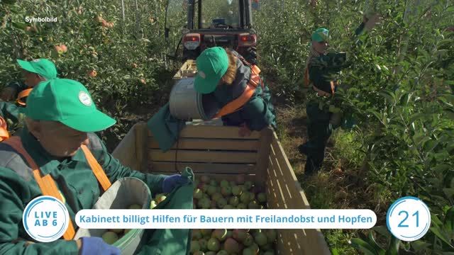 Die Top-Nachrichten des Tages | 11.10.2023