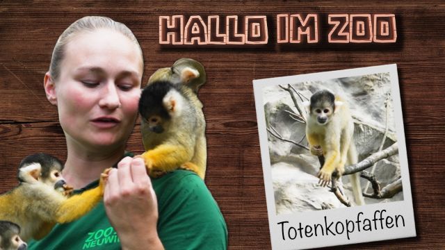 Spiel, Spaß und Melonen im Zoo