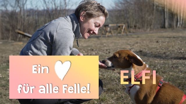 Ein Herz für alle Felle - Elfi