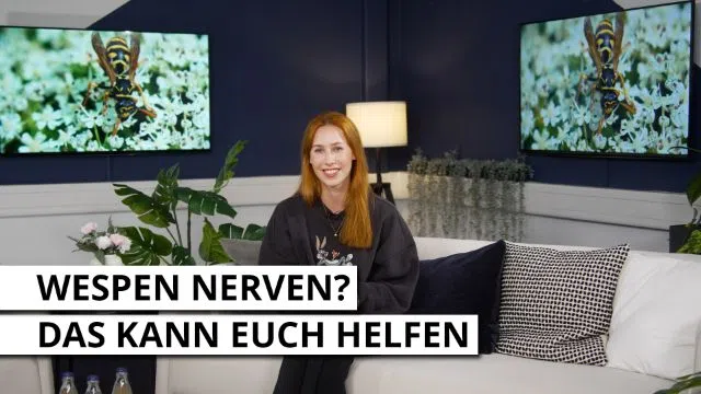 Nervige Wespen? - Diese Tipps helfen euch!