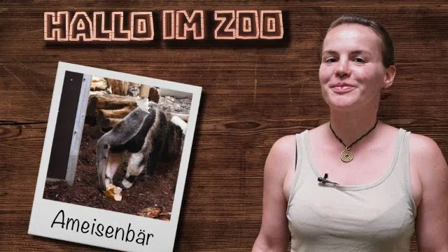 Avocados für Ameisenbär Bramble