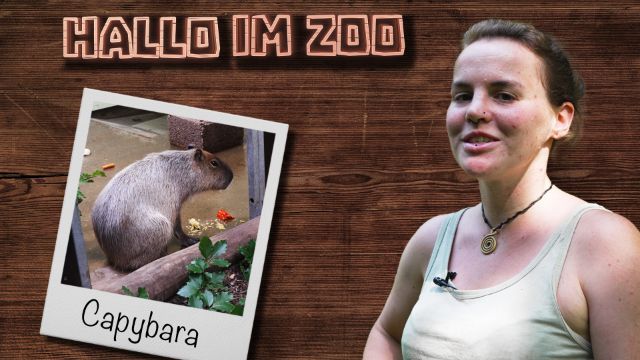 Wo sind die Capybaras?