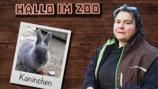 Kaninchen im Zoo? Kaninchen im Zoo?