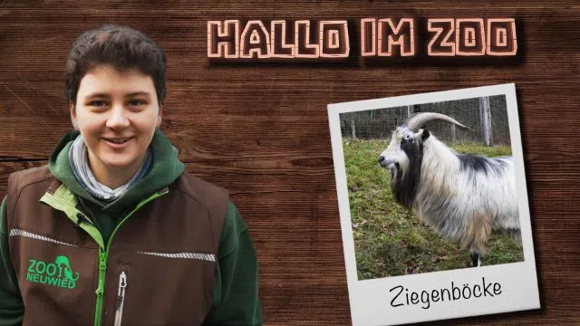 Leben abseits des Streichelzoos