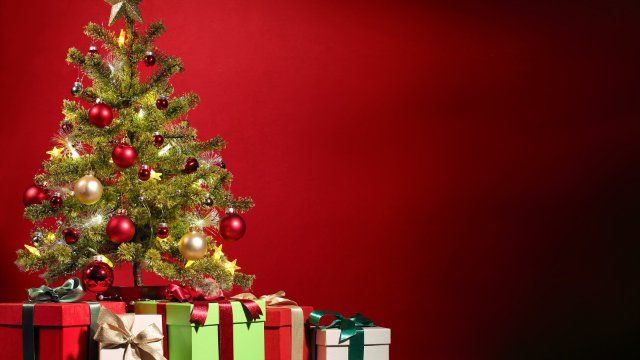 Weihnachtsbaum-Weltrekord in Rinteln