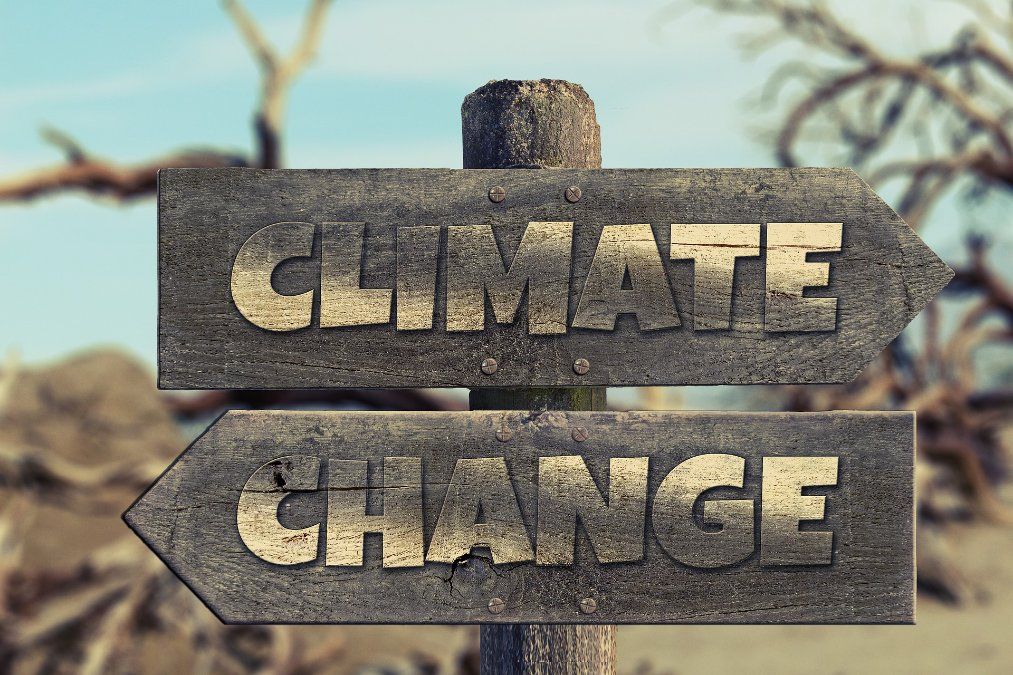 Bundesrat widmet sich Klimaschutzzielen Bundesrat widmet sich Klimaschutzzielen