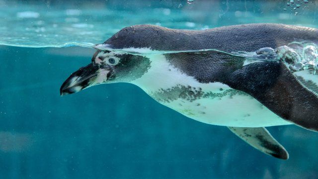 Inventur im Zoo Neuwied