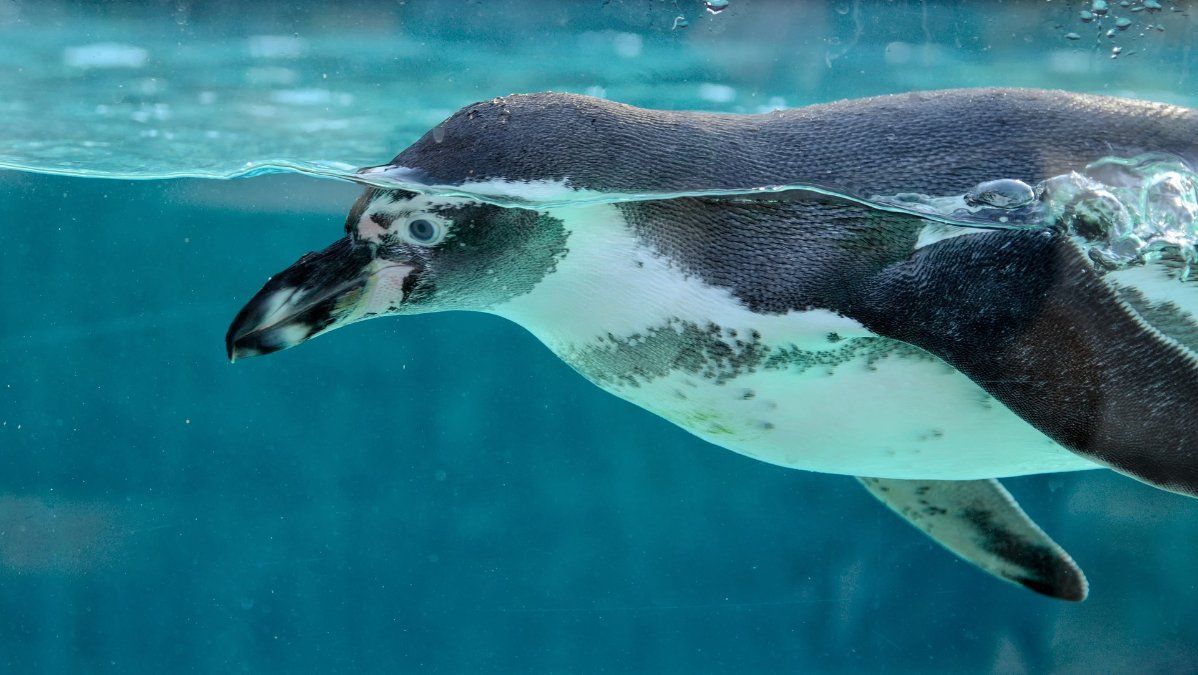 Inventur im Zoo Neuwied Inventur im Zoo Neuwied