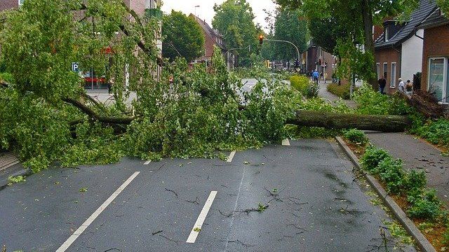 Sturmtief verursacht viele Feuerwehreinsätze