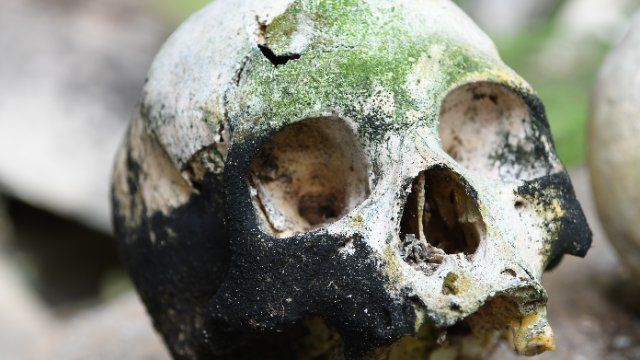 Kriminalpolizei findet Überreste von vier toten Weltkriegssoldaten