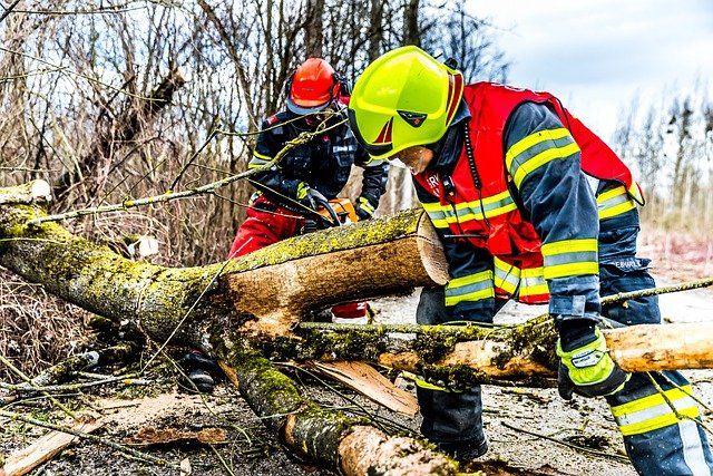 Viele Schäden in der Region wegen erneutem Sturmtief Viele Schäden in der Region wegen erneutem Sturmtief