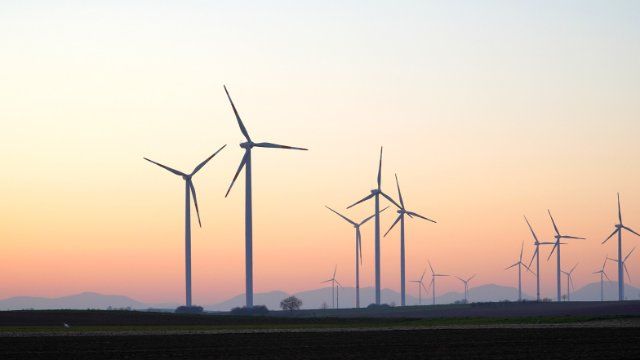 10. Sitzung des Ausschusses für Umwelt, Klimaschutz, Verkehr und Forst