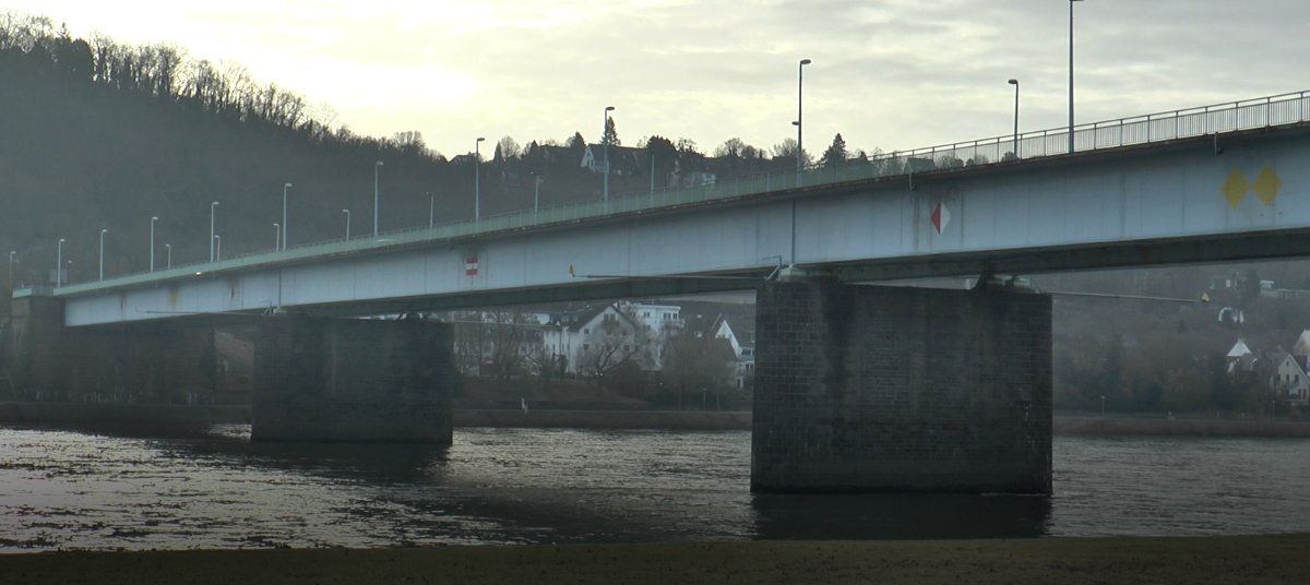 Weitere Baumfällarbeiten für Pfaffendorfer Brücke erforderlich Weitere Baumfällarbeiten für Pfaffendorfer Brücke erforderlich