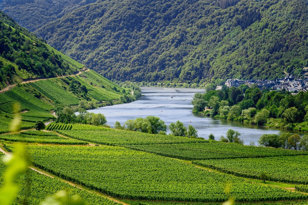 Neuer digitaler Atlas zur Weinkultur in Rheinland-Pfalz Neuer digitaler Atlas zur Weinkultur in Rheinland-Pfalz