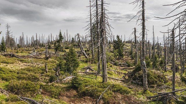 Trockenheit bereitet Sorgen bei Landwirten 