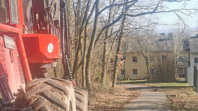 Baumpflege- und Fällarbeiten auf dem Zuweg zum Pinterkreuz 
