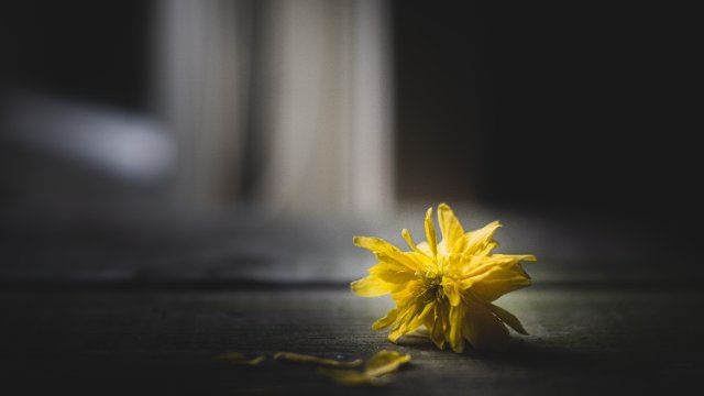 Ehemaliger Bürgermeister von Remagen ist tot