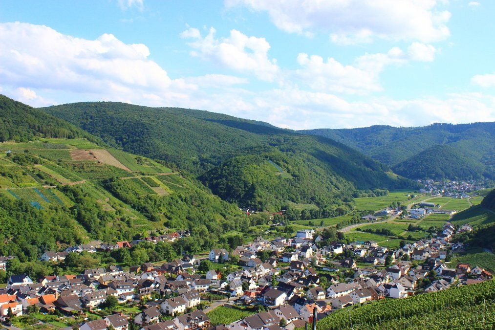 Rotweinstraße im Ahr-Flutgebiet erst im Sommer durchgängig befahrbar