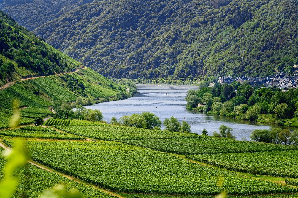 Freie Wähler: Kathrin Laymann ist neue Bürgermeisterin der Verbandsgemeinde Rhein-Mosel