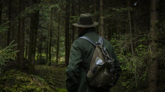 Dutzende Fälle von Jagdwilderei jedes Jahr in Rheinland-Pfalz