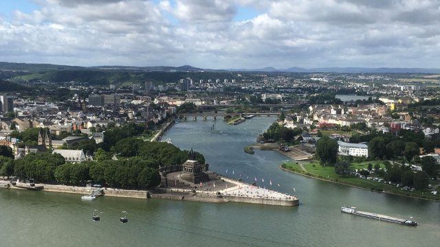 200.000 junge Aale werden zur Arterhaltung in den Rhein ausgesetzt
