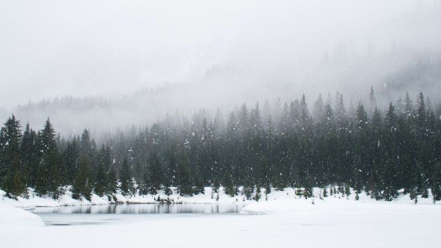Bis zu 25 Zentimeter Neuschnee in der Eifel