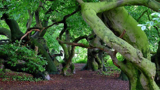 Zwei neue Naturschutzgebiete in RLP 
