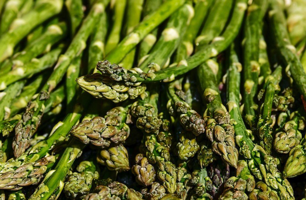 Gestohlener Spargel vermutlich gesundheitsgefährdend Gestohlener Spargel vermutlich gesundheitsgefährdend