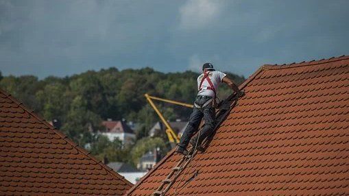 Förderprogramm Dachbegrünung ist gestartet, Anträge ab sofort möglich