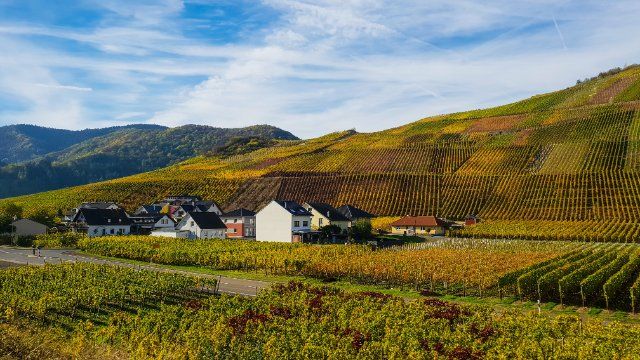 Einsatzleitung in Flut überfordert - Landrat «zweimal kurz gesehen»