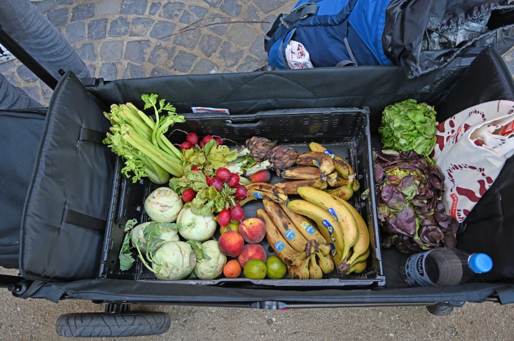 Lebensmittelretter im Einsatz - Foodsharing-Netz gegen Verschwendung Lebensmittelretter im Einsatz - Foodsharing-Netz gegen Verschwendung