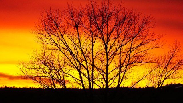 Hohe Waldbrandgefahr in Rheinland-Pfalz am Wochenende