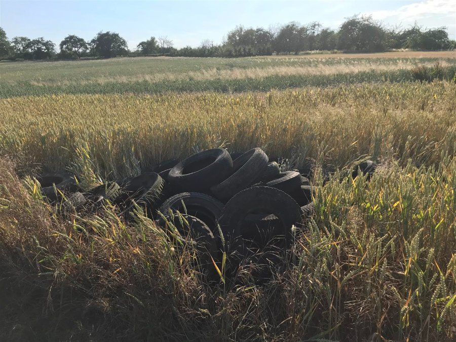 Illegale Altreifen Entsorgung in Metternich Illegale Altreifen Entsorgung in Metternich