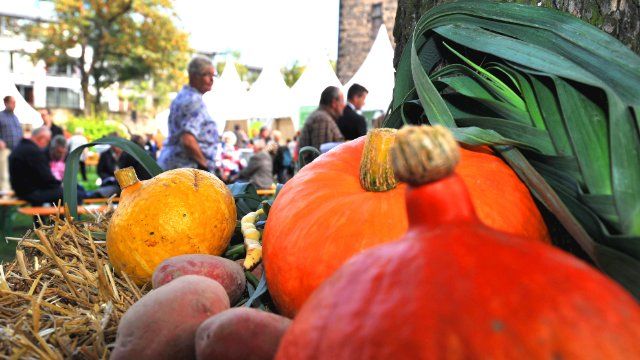 „Andernach schmeckt“: Essbare Stadt tischt auf