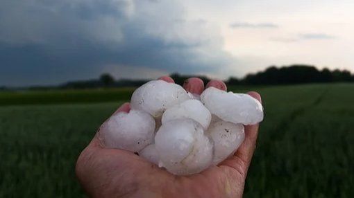 Essbare Stadt: Starke Schäden durch Unwetter