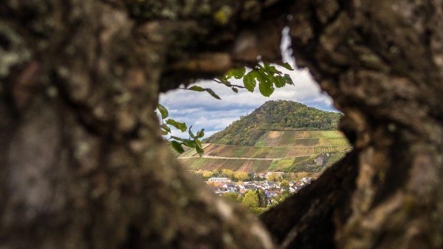 Konferenz mit Empfehlungen für geeigneten Wiederaufbau nach Ahr-Flut