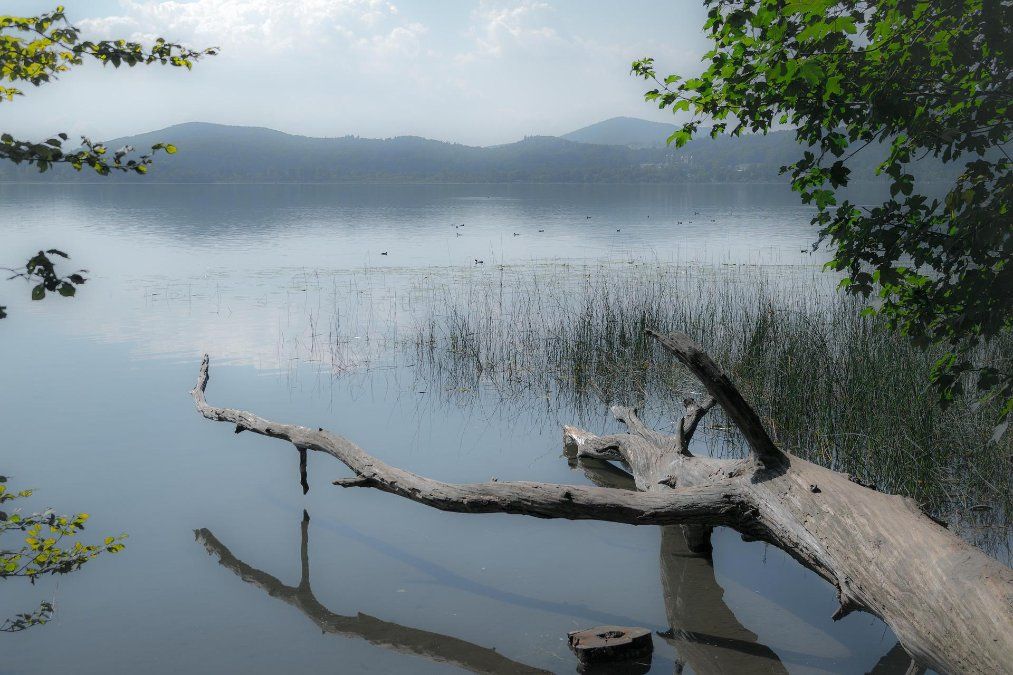 Fünf Badetote in Rheinland Pfalz