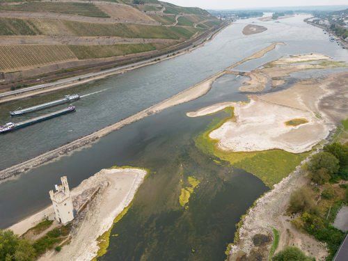 Niedriger Wasserstand legt alte Munition am Rhein frei Niedriger Wasserstand legt alte Munition am Rhein frei