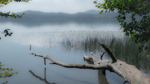 Fünf Badetote in Rheinland Pfalz
