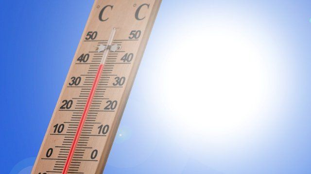 Hitzefrei für Städte? Landtagsabgeordnete wirbt für Aktionspläne