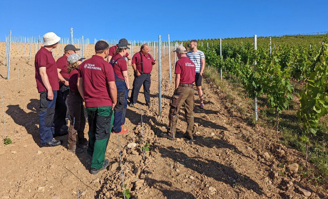Inklusion im Weinbau: Raus aus der Werkstatt, rein in den Weinberg Inklusion im Weinbau: Raus aus der Werkstatt, rein in den Weinberg