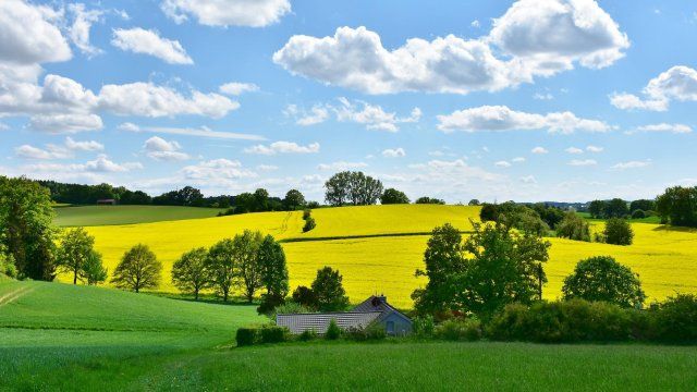 Sonniges Ferienwetter für Rheinland Pfalz