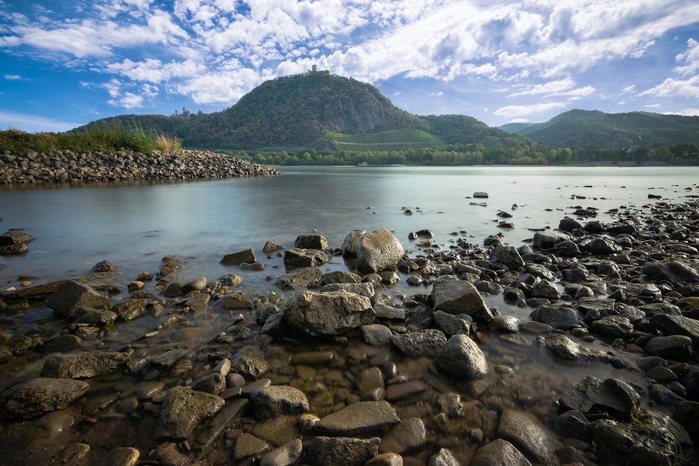 Niedrigwasser im Rhein bereitet große Sorgen Niedrigwasser im Rhein bereitet große Sorgen