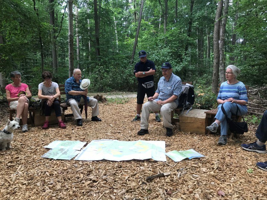 Lahnstein: 240 Hektar große Waldfläche als Kur- und Heilwald genutzt